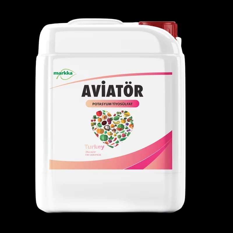 Aviatör