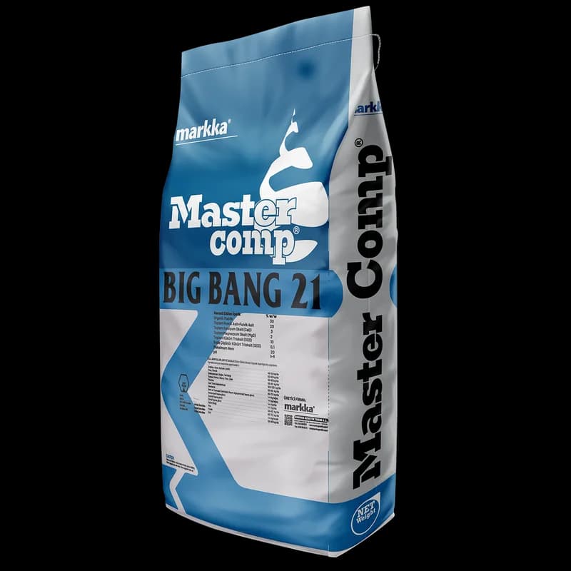 Master Comp Big Bang 21