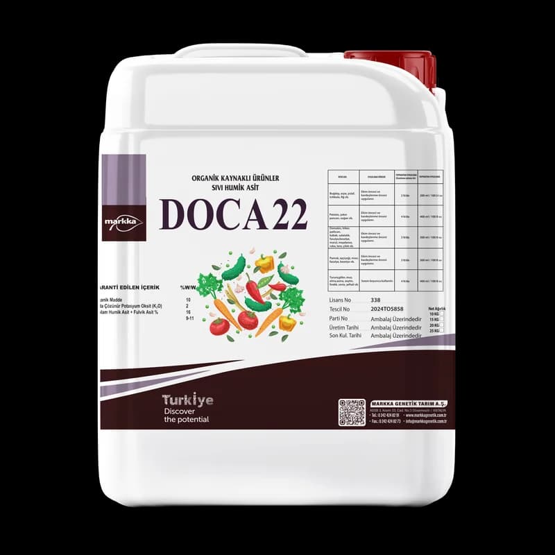 Doca 22