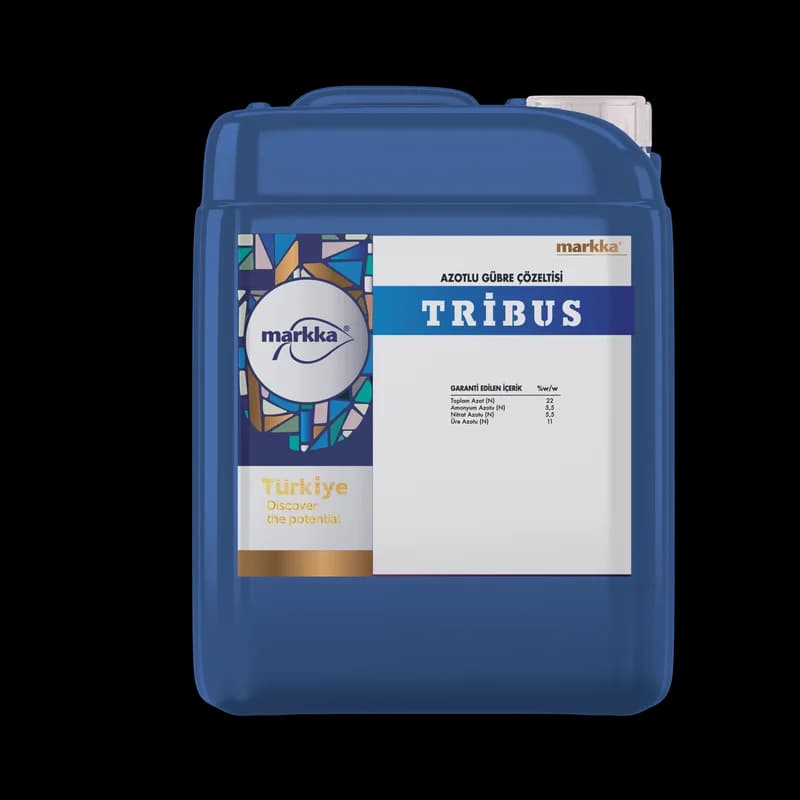 Tribus