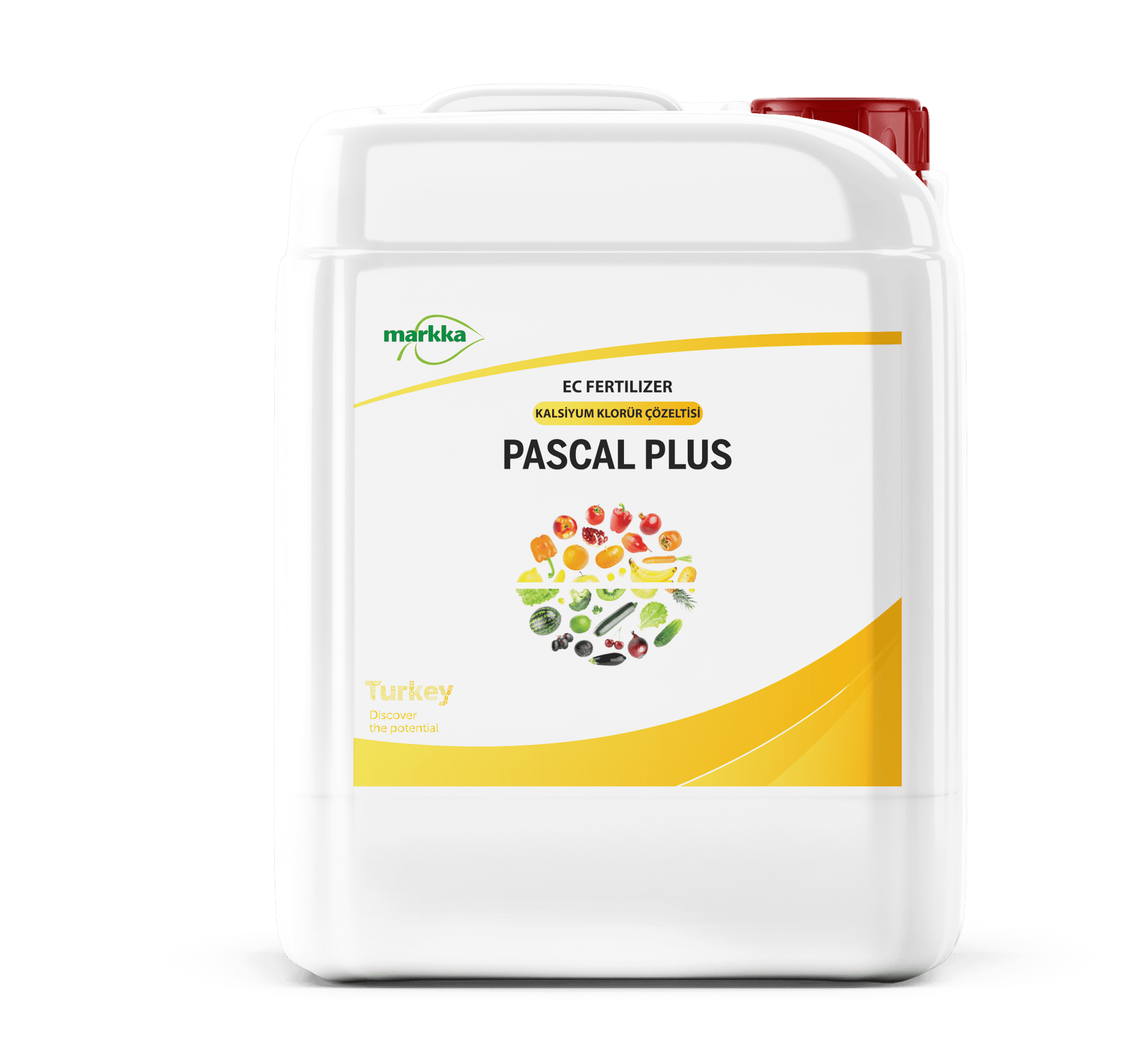 Pascal Plus